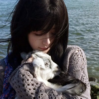 天堂狗生死恋