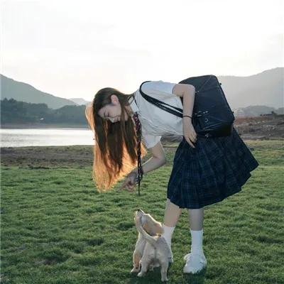 冬日之光
